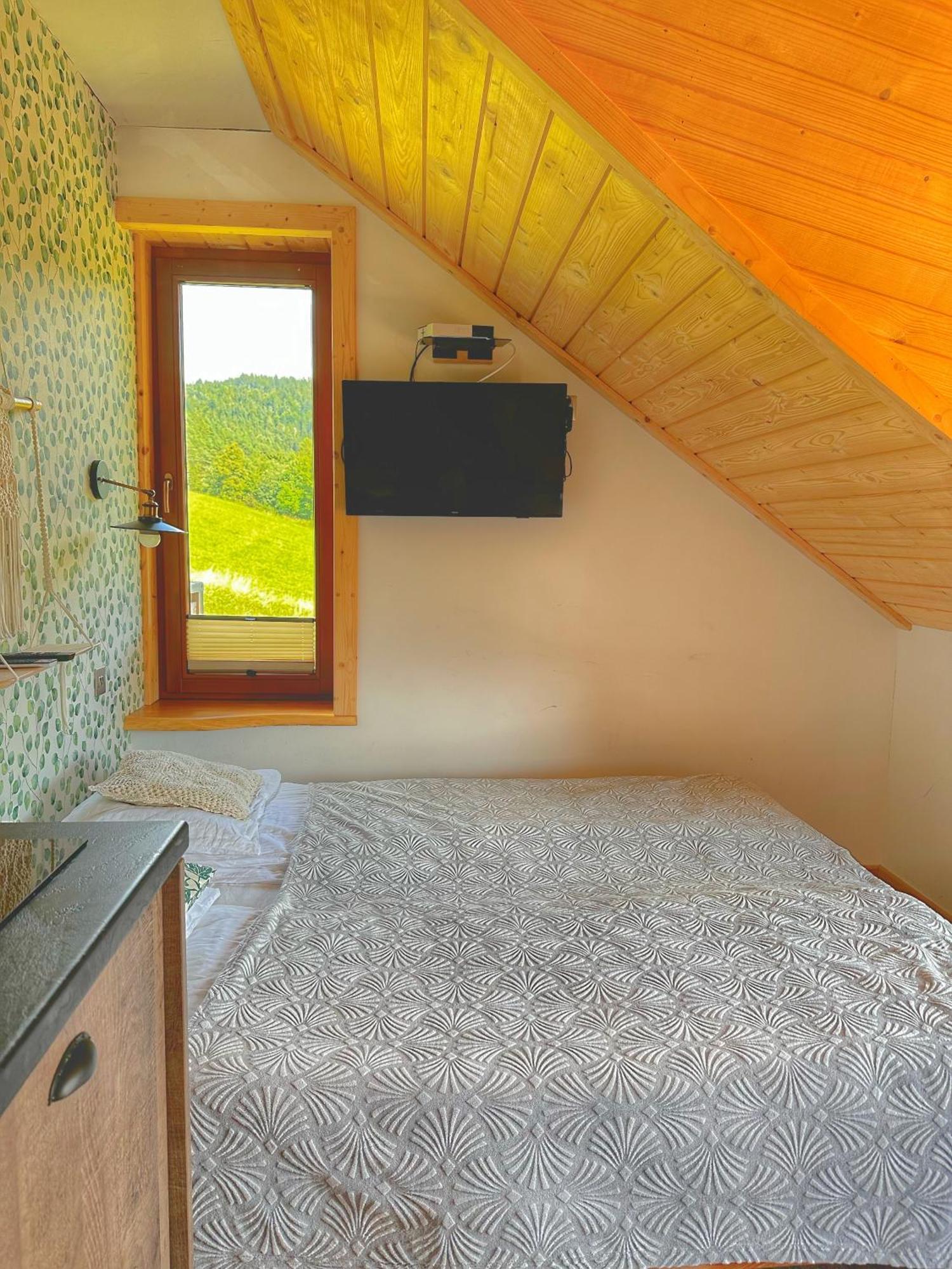 Dziejba Lesna &spa - Piekne I Nowe I Domek, Sauna I Jacuzzi - W Cenie I Na Wylacznosc, 1 Km Od Stoku Apartment *